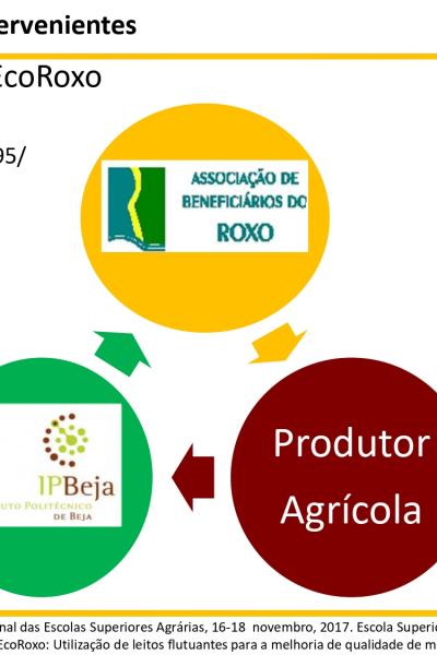 4greenecoroxo Elvas16 18 2017 Page 0007