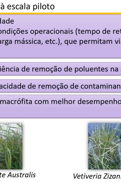 4greenecoroxo Elvas16 18 2017 Page 0011