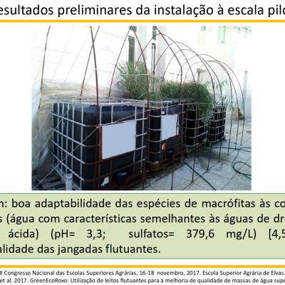 4greenecoroxo Elvas16 18 2017 Page 0012